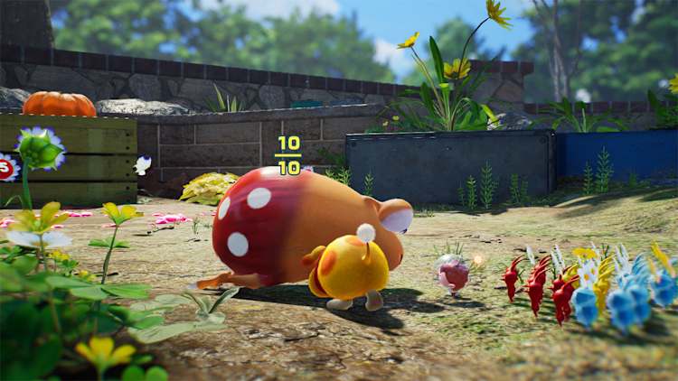Nintendo Switch - R e I　switch ピクミン3と4 Pikmin 4 for Nintendo Switch - Nintendo Official Site for Canada